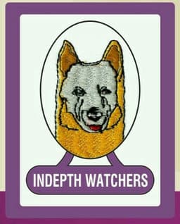 Indepth Watchers logo